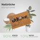Kokos Fussmatte Welcome mit Blumen und Biene - Entrando